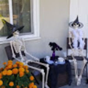 Meet your Posher, Cynthia